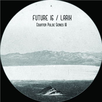 Future 16 / Larix - Counter Pulse Future 16 / Larix - Counter Pulse
