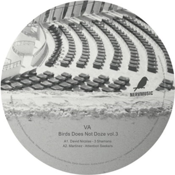David Nicolas, Martinez, Dj Puma, Laurin - Bird Does Not Doze Vol.3 - Nervmusic Records