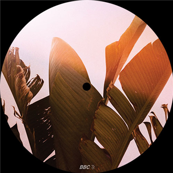 so. mind - Born to Live - Berlin Bass Collective so. mind - Born to Live - Berlin Bass Collective