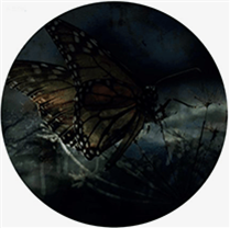 AUTOSIM / SERGE GEYZEL - Split EP - Arkada AUTOSIM / SERGE GEYZEL - Split EP - Arkada
