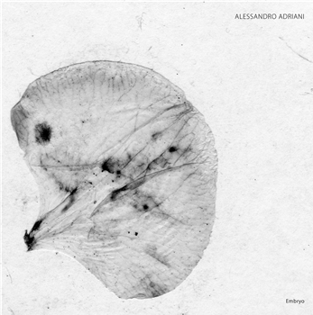 ALESSANDRO ADRIANI - EMBRYO - Stroboscopic Artefacts