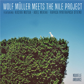Wolf Müller Meets The Nile Project - New Nouvelle Ambiance