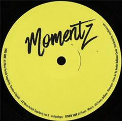 Wave Particle Singularity, Ian R., Trentz, Bellomo - Momentz003 - Momentz