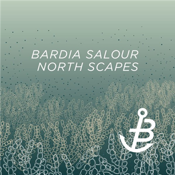 bardia salour - north scapes - incl. peter schumann rmx - bunte kuh