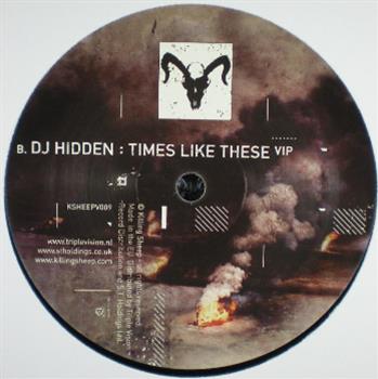 DJ Hidden  - Killing Sheep