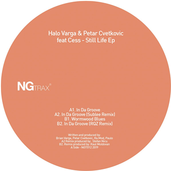 Halo Varga & Petar Cvetkovic feat. Cess - Still Life EP [ vinyl only] - NG Trax 