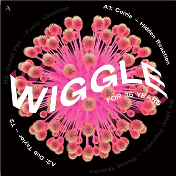 VA - Wiggle for 25 Years Sampler - Wiggle