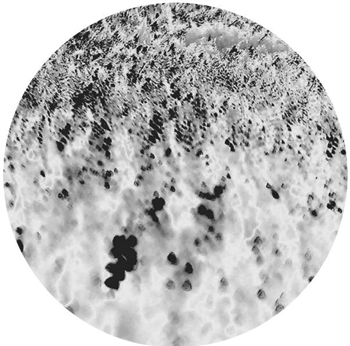 Reggy van Oers & Joachim Spieth - Noctilucent - Affin LTD Reggy van Oers & Joachim Spieth - Noctilucent - Affin LTD