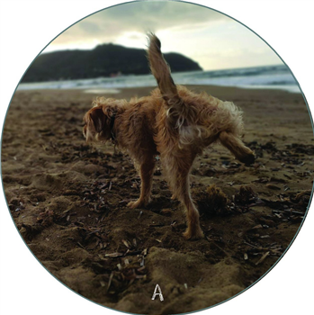 M47714 - Mediatic Forms Of Communication - Burbi M47714 - Mediatic Forms Of Communication - Burbi