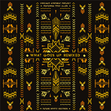 Chicago Afrobeat - WHAT GOES UP REMXES - Future Rootz Chicago Afrobeat - WHAT GOES UP REMXES - Future Rootz