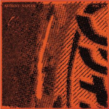 Anthony Naples - Fog FM - 2x12" - ANS