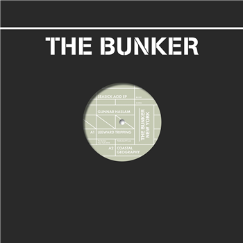 Gunnar Haslam - Seasick Acid - THE BUNKER NEW YORK