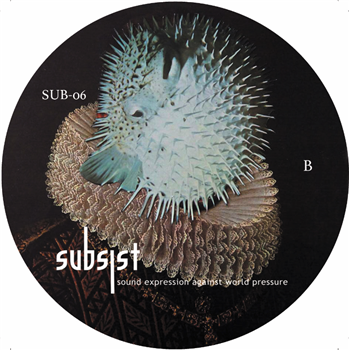 Various Artists - SUB-06 - SUBSIST RECORDS