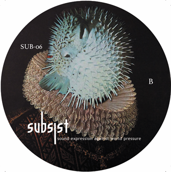 Various Artists - SUB-06 - SUBSIST RECORDS Various Artists - SUB-06 - SUBSIST RECORDS