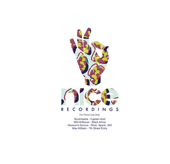 Various Artists - 303 Party - Nice Recordings Various Artists - 303 Party - Nice Recordings