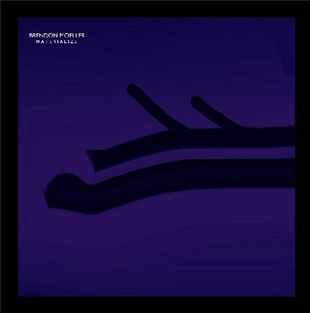 Brendon Moeller - Materialize Lp - Vibrant Music