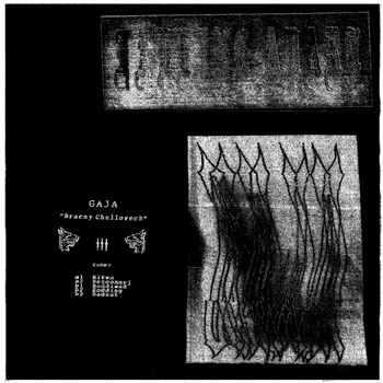 Gaja - Bracny Chelloveck [printed sleeve / hand-stamped white label] - Falling Apart
