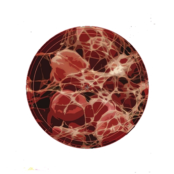 Pathic - Rebirth EP - Pyramid Transmissions Pathic - Rebirth EP - Pyramid Transmissions