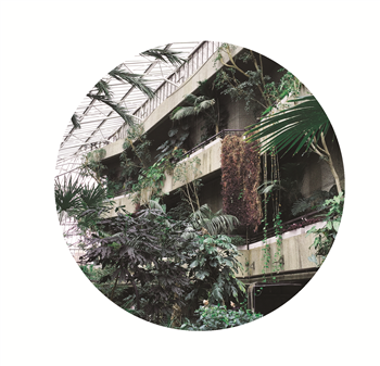 Zoo Look - Similar Steps EP - Lost Palms