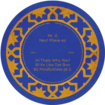 Mr. G - Next Phase EP [180 grams] - Phoenix G