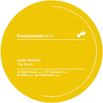 Justin Berkovi - The Storm - Predicaments