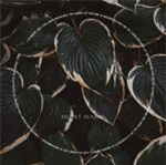 EDANTICOF - The Metamorphosis of Plants - Silent Season