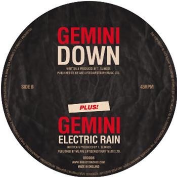 Gemini  - Breed 12 Inches