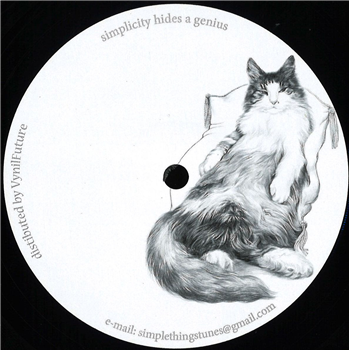 Shyam & Quazee - Totem EP - Simple Things Records