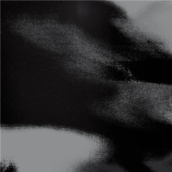 Sunggun Jang - Disfiguring Echos - Daehan Electronics Sunggun Jang - Disfiguring Echos - Daehan Electronics