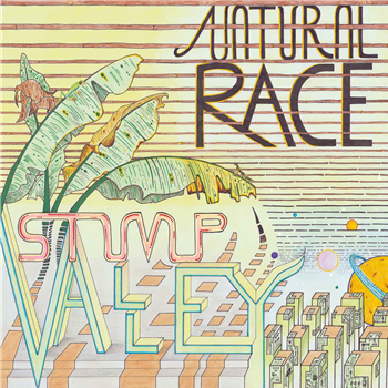 STUMP VALLEY - NATURAL RACE - Dekmantel