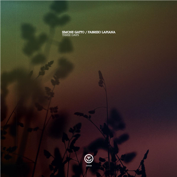 Simone Gatto & Fabrizio Lapiana - Three Days EP - OUT-ER