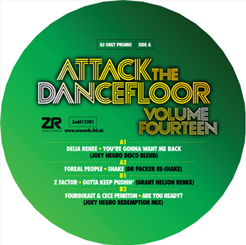 Various Artists - Attack The Dancefloor Vol.14 - Z RECORDS