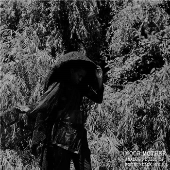MOOR MOTHER
- ANALOG FLUIDS OF SONIC BLACK HOLES - DON GIOVANNI MOOR MOTHER
- ANALOG FLUIDS OF SONIC BLACK HOLES - DON GIOVANNI