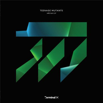 Teenage Mutants - Mistake EP - Terminal M Records