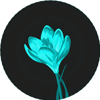Alex Pervukhin - COC002 - Colors Of Crocus Alex Pervukhin - COC002 - Colors Of Crocus