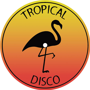 Various Artists - Vol.13 - TROPICAL DISCO RECORDS