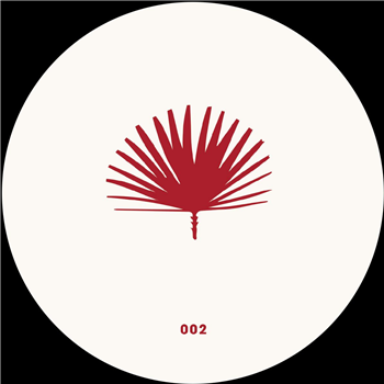 Pizzicatto remix Iuly.B remix Jaffa Surfa - Dues - Lespalmes Discs Pizzicatto remix Iuly.B remix Jaffa Surfa - Dues - Lespalmes Discs