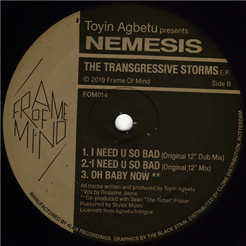 Toyin Agbetu presents Nemesis - The Transgressive Storms EP - Frame Of Mind