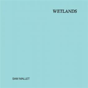 SAM MALLET - WETLANDS - MUSIQUE PLASTIQUE / RECURRING DREAM