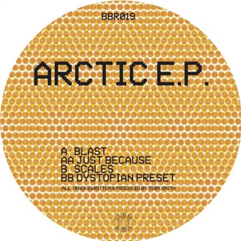 Secret Static - Arctic Ep - Blueberry Records