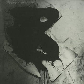 Kai Kan / Purple Hummer - VDSKKY EP - The Other Side Kai Kan / Purple Hummer - VDSKKY EP - The Other Side