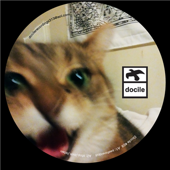 Andy Garcia - The Bear EP - Docile Recordings Andy Garcia - The Bear EP - Docile Recordings