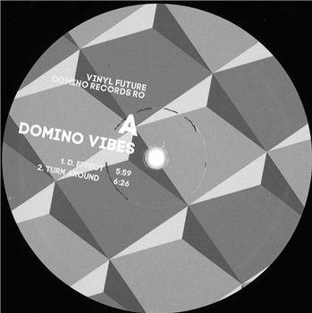 Domino Vibes - Night Train EP - Domino Vibes