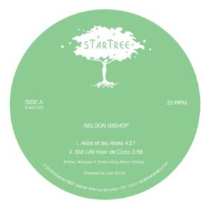 Nelson Bishop - Nelson Bishop (Inc. Darshan Jesrani Remix) - Startree