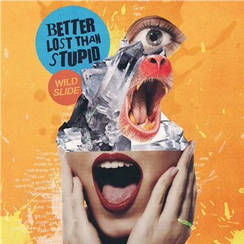 Better Lost Than Stupid - Wild Slide - Skint