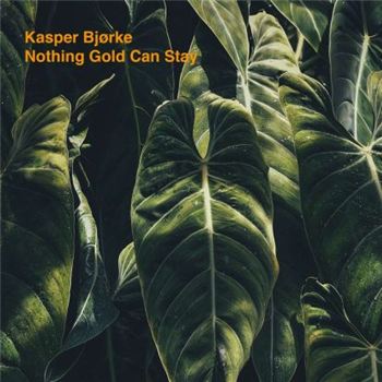 Kasper Bjørke - Nothing Gold Can Stay - Germany/Austria LP + colored clear orange vinyl + download code - HFN Music