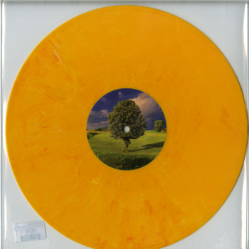 Unknown Artist - Yellow Orange Marbled - DRG SERIES