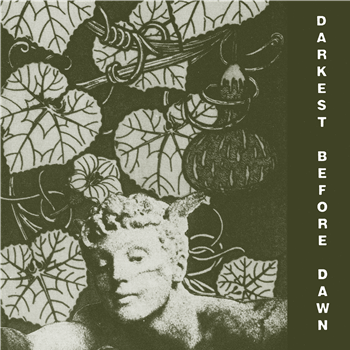 Dark Day - Darkest Before Dawn - Dark Entries