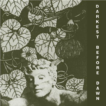 Dark Day - Darkest Before Dawn - Dark Entries Dark Day - Darkest Before Dawn - Dark Entries