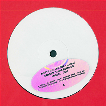 North Collective - Haunt (Dominik Marz Remixes) - And Music North Collective - Haunt (Dominik Marz Remixes) - And Music